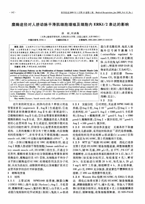 糜酶途径对人脐动脉平滑肌细胞增殖及细胞内ERK1／2表达的影响