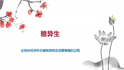 糖异生    