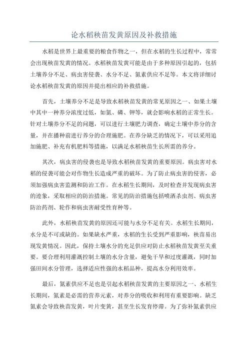 论水稻秧苗发黄原因及补救措施