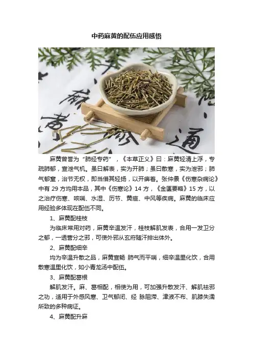 中药麻黄的配伍应用感悟