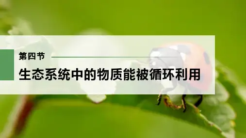 2022-2023学年 必修一  浙科版  生态系统中的物质能被循环利用  课件(80张)