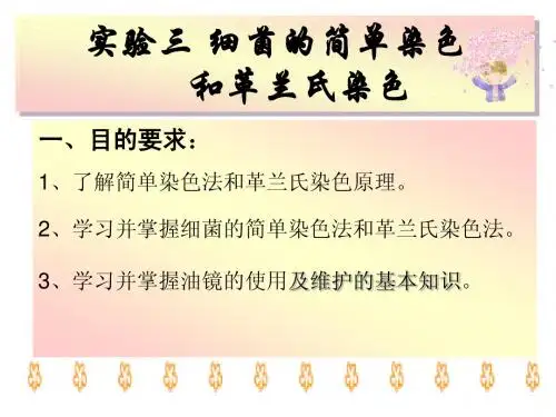 革兰氏染色