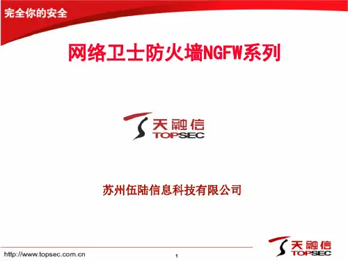 天融信TopsecNGFW系列防火墙介绍