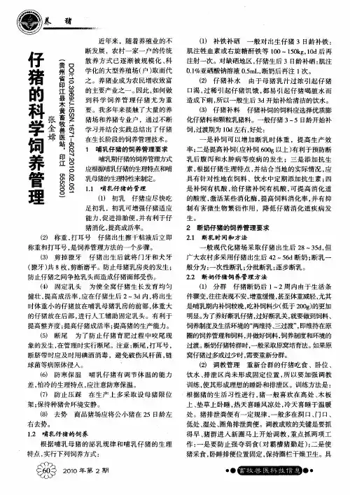仔猪的科学饲养管理