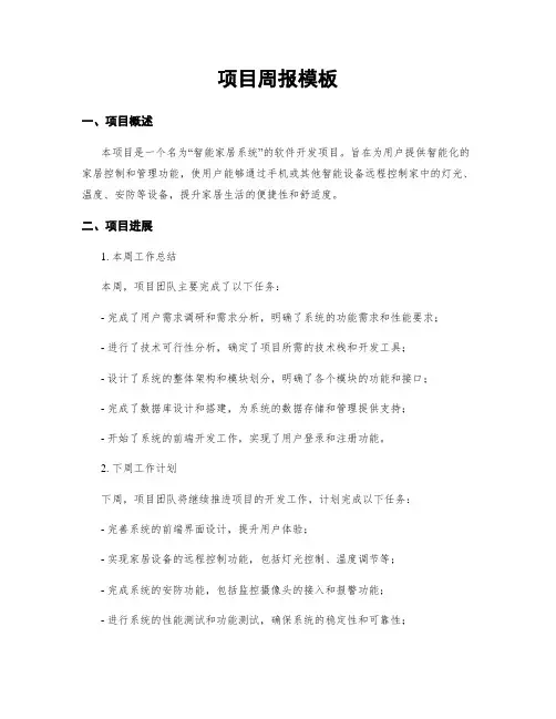 项目周报模板