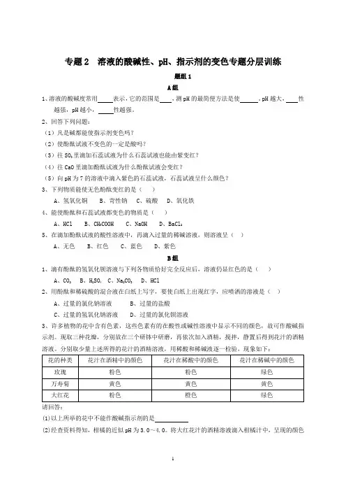 专题2  溶液的酸碱性、pH、指示剂的变色专题分层训练