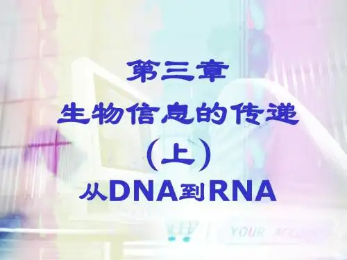 第三章 转录