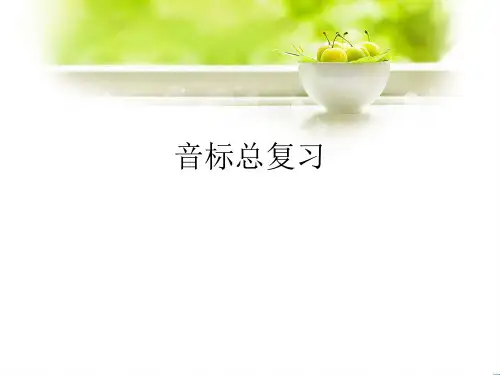 初中英语音标总复习.ppt