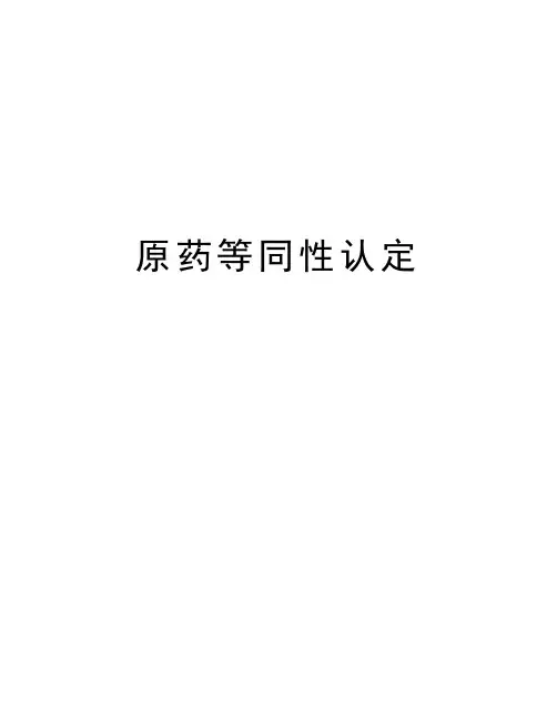 原药等同性认定讲课稿
