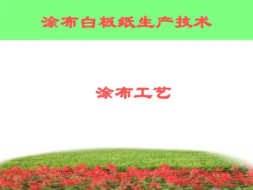 涂布白板纸生产与技术(涂布复习)10