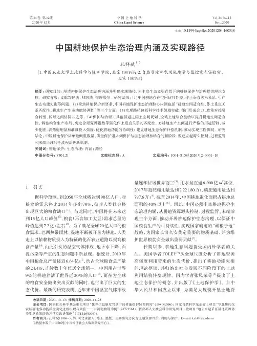中国耕地保护生态治理内涵及实现路径