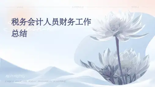 税务会计人员财务工作总结PPT
