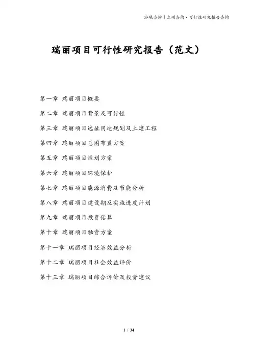 瑞丽项目可行性研究报告(范文)