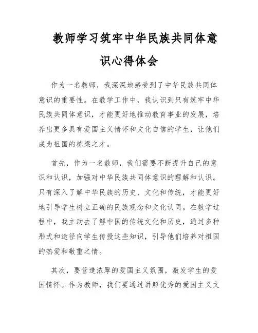 教师学习筑牢中华民族共同体意识心得体会