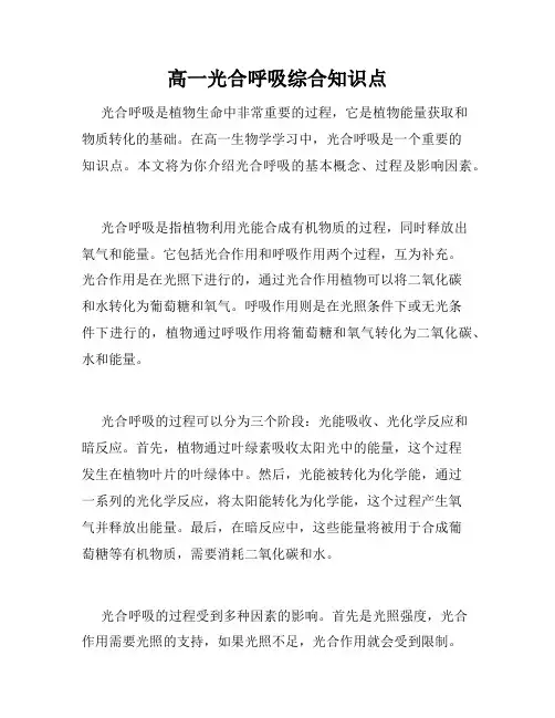 高一光合呼吸综合知识点
