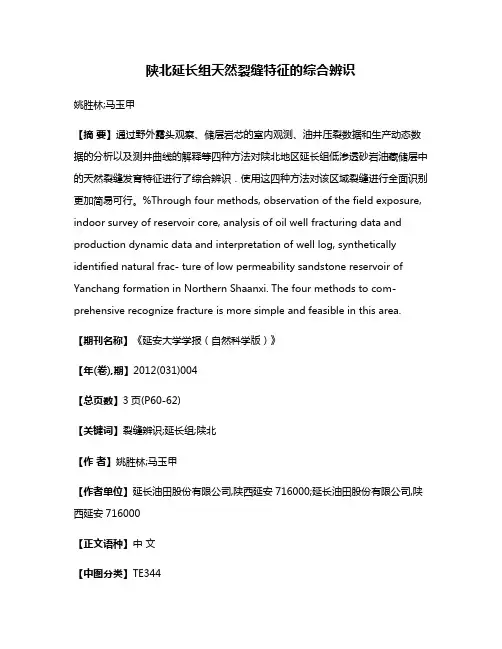 陕北延长组天然裂缝特征的综合辨识
