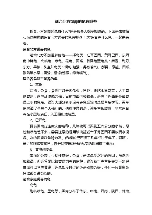 适合北方饲养的龟有哪些