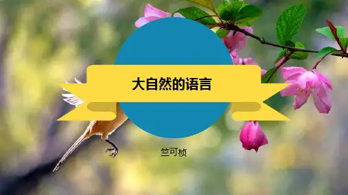 第5课 大自然的语言