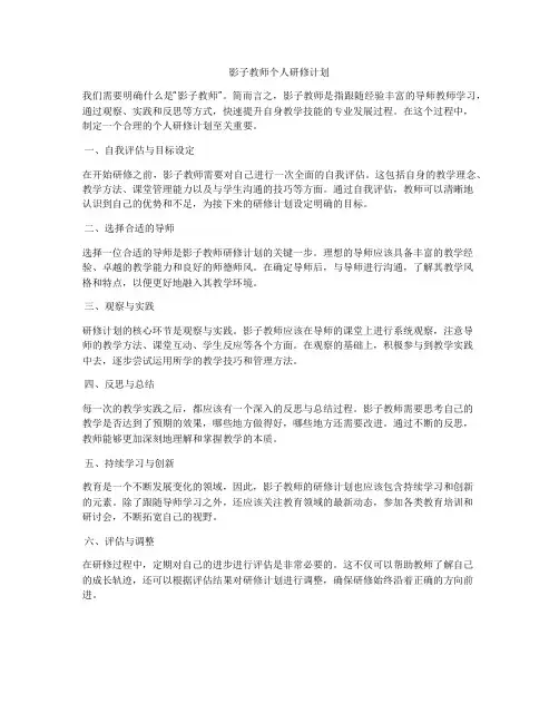 影子教师个人研修计划