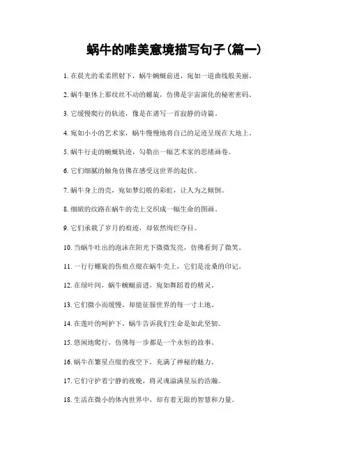 蜗牛的唯美意境描写句子(精选两篇)
