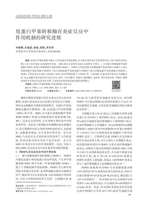 组蛋白甲基转移酶在炎症反应中作用机制的研究进展