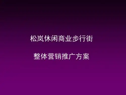 休闲商业步行街整体营销推广方案(ppt90张)