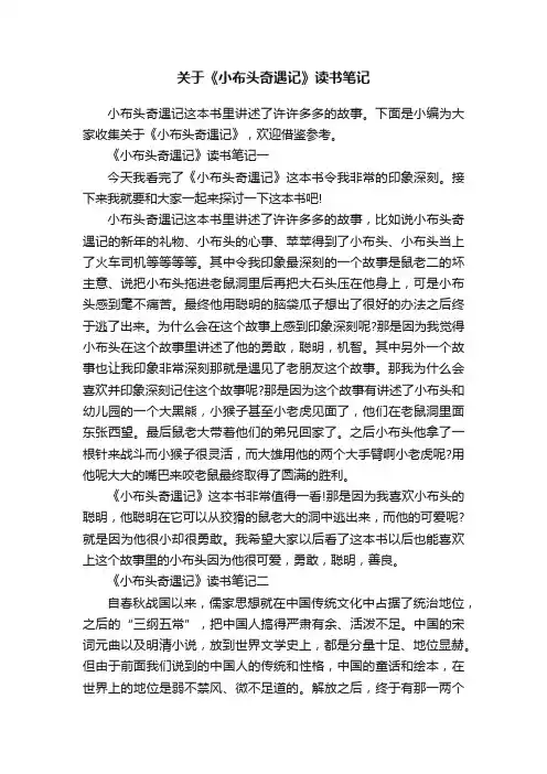 关于《小布头奇遇记》读书笔记