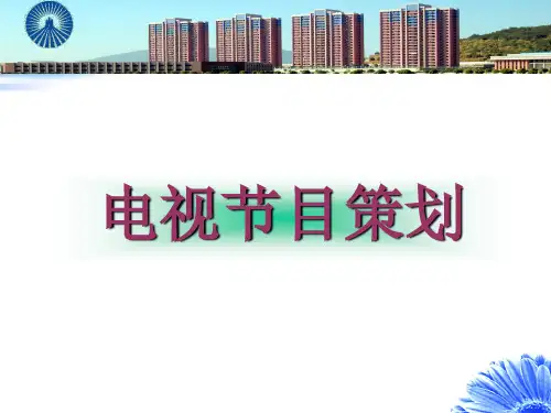 电视节目策划(1-4讲)概要