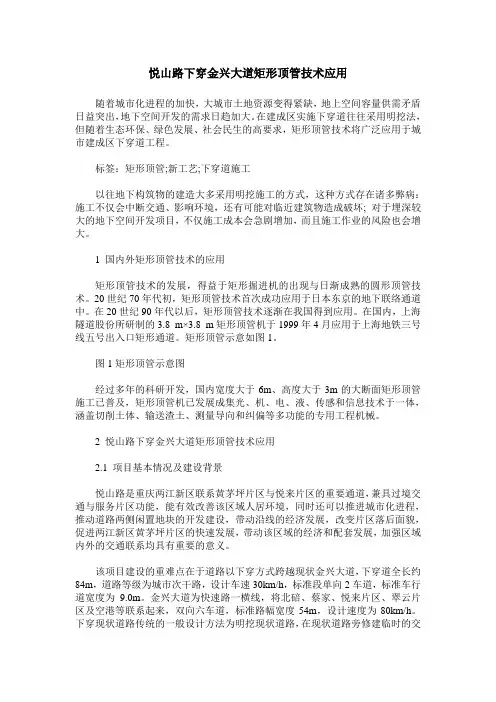 悦山路下穿金兴大道矩形顶管技术应用