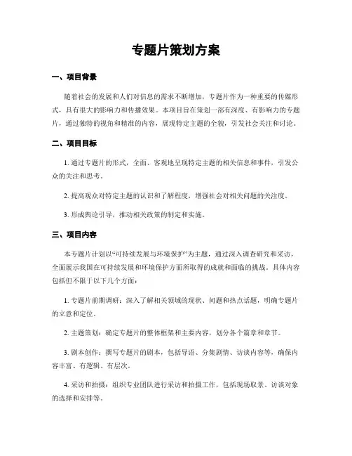 专题片策划方案