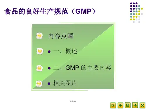 食品的良好生产规范(GMP)PPT课件