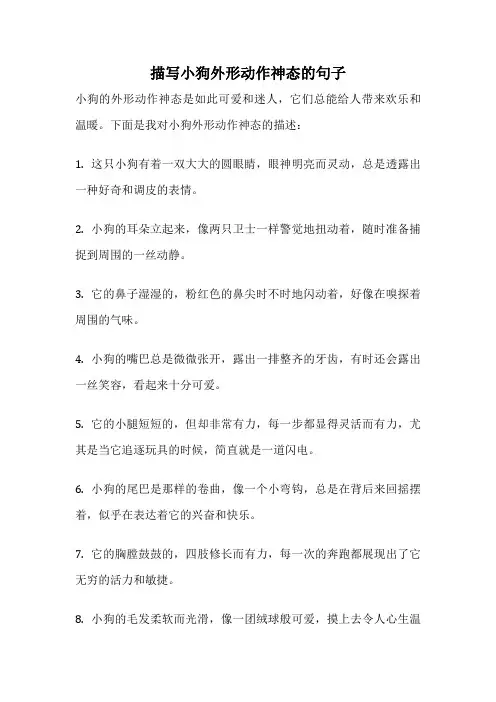 描写小狗外形动作神态的句子