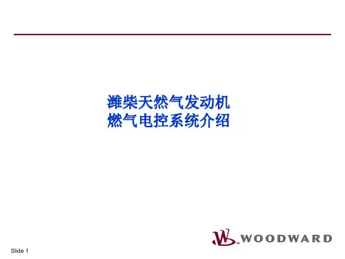 潍柴燃气电控系统介绍02