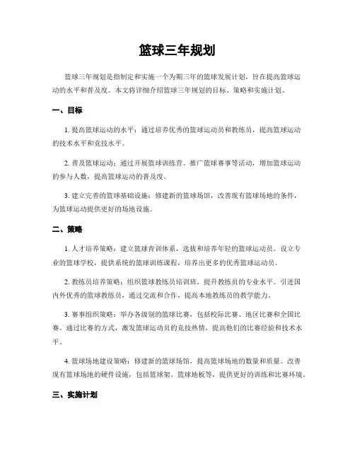 篮球三年规划