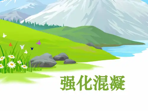 强化混凝