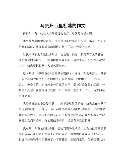 写贵州百里杜鹃的作文