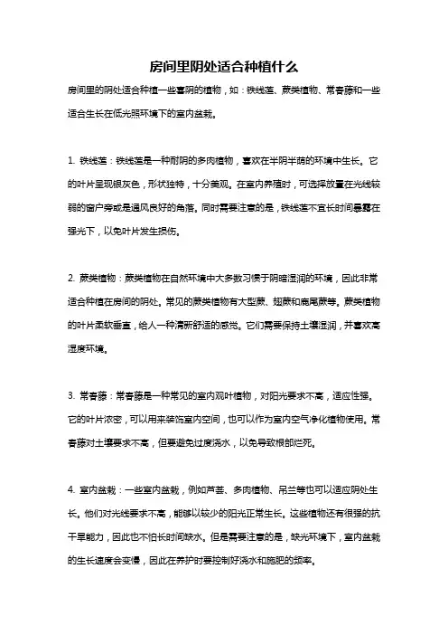 房间里阴处适合种植什么