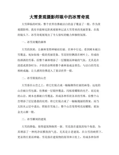 大雪景观摄影师眼中的冰雪奇观