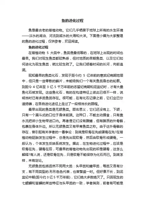 鱼的进化过程