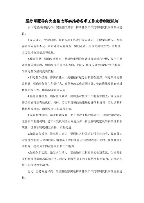 坚持问题导向突出整改落实推动各项工作完善制度机制