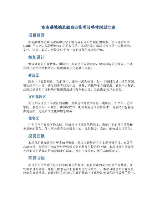 湖南融城德思勤商业街项目整体规划方案p