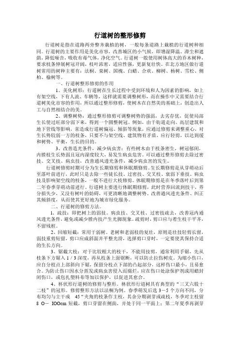 行道树的整形修剪
