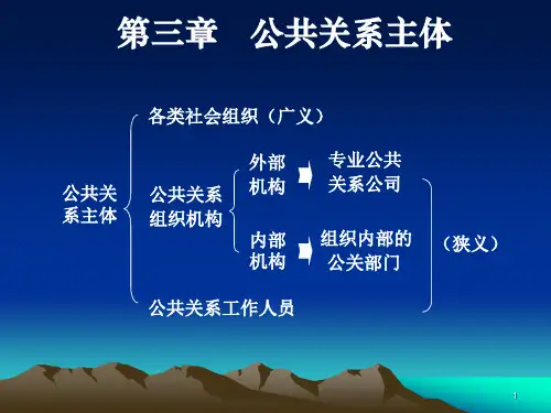 公共关系学第三章公共关系主体