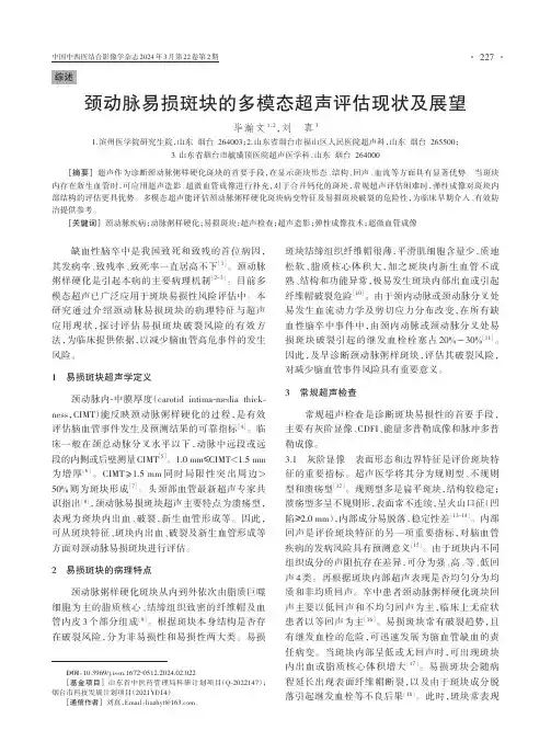 颈动脉易损斑块的多模态超声评估现状及展望