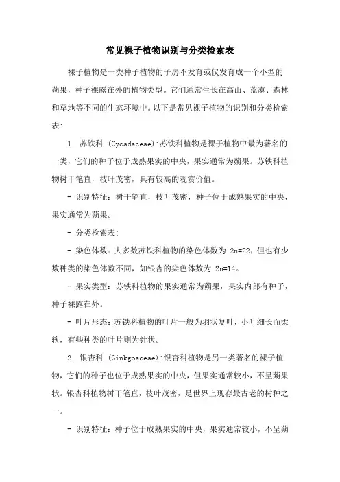 常见裸子植物识别与分类检索表