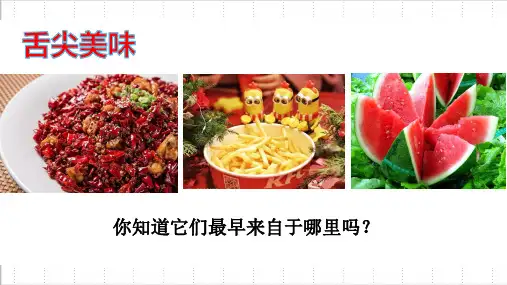 人教统编版高中历史必修中外历史纲要下 古代非洲与美洲课PPT