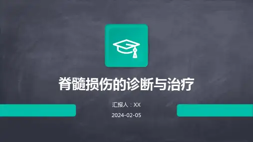 脊髓损伤的诊断与治疗