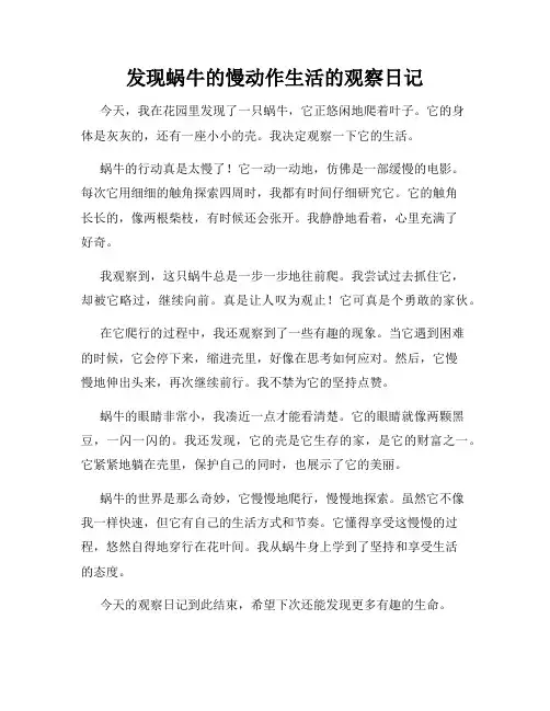 小学三年级作文发现蜗牛的慢动作生活的观察日记