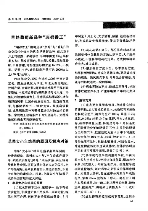 早熟葡萄新品种“瑞都香玉”