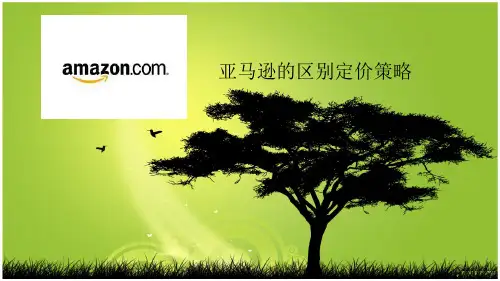 差别定价策略